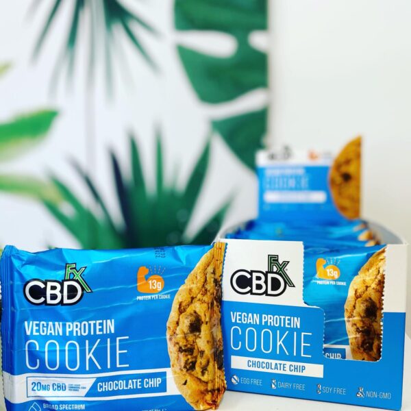 CBDFX Vegan protein cookie - chocolate chip
